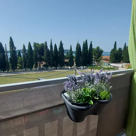 Viola Apartment *